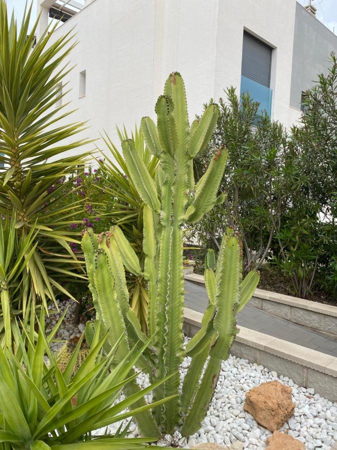 Oasis Beach Apartments Аликанте Екстериор снимка