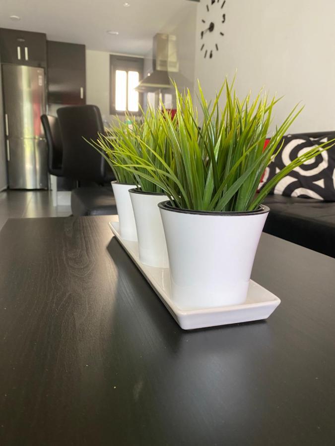 Oasis Beach Apartments Аликанте Екстериор снимка