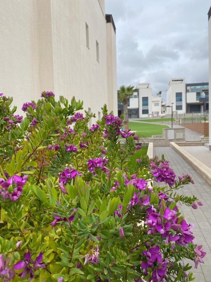 Oasis Beach Apartments Аликанте Екстериор снимка